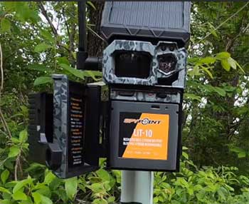 SPYPOINT Cellular Trail Camera