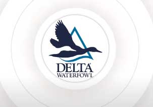 Delta Waterfowl