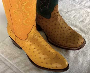 Ostrich Boots