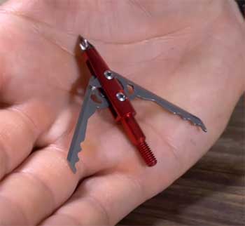 Rage Broadhead