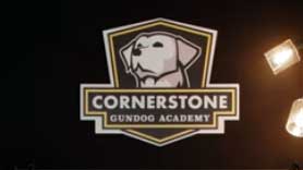 Cornerstone Gundog Academy