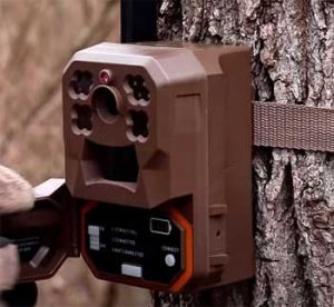 Moultrie Edge Vs. Tactacam Reveal X Trail Cameras