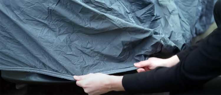 Seal Skin Car Cover