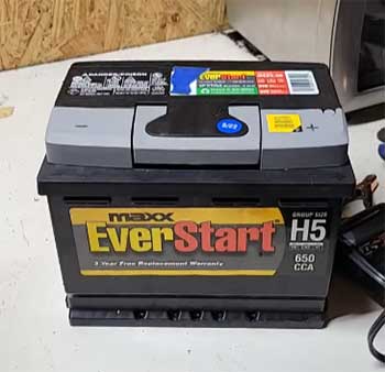 EverStart Maxx Battery