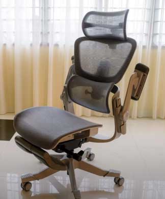 Hinomi H1 Pro Ergonomic Office Chair