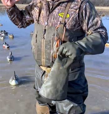 Dive Bomb Wader