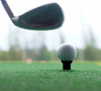Precept Laddie Golf Ball