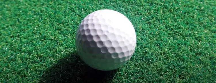 Precept Laddie Golf Ball