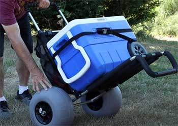 VEVOR Beach Cart