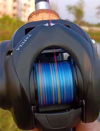 Daiwa Tatula