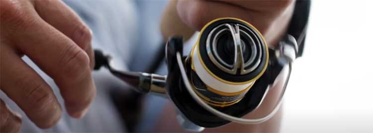 Shimano Sahara FJ Spinning Reel