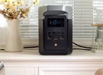 delta 2 max