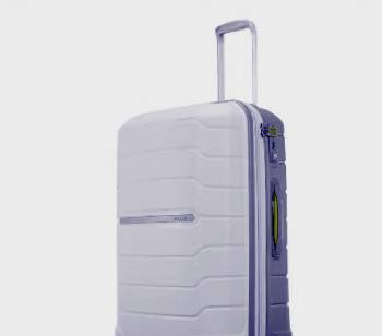 samsonite beck ltd 24 spinner