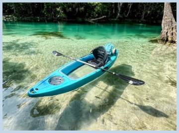 silver springs glass bottom boat