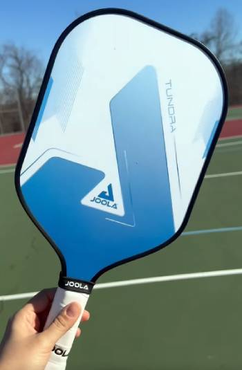 joola essentials pickleball paddle