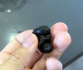 decibullz custom molded earplugs