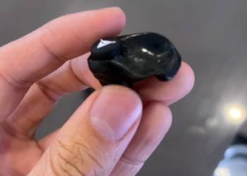decibullz custom molded earplugs