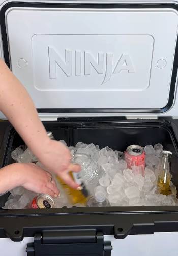ninja frostvault cooler