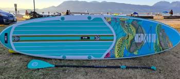niphean paddle board
