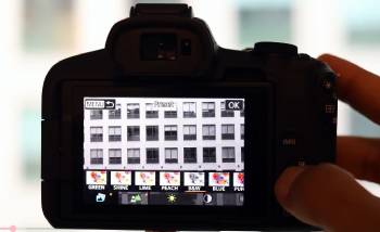 canon r50 vs rebel t7