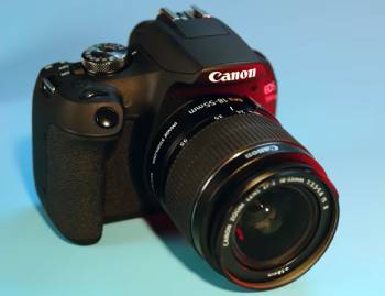 canon r50 vs rebel t7