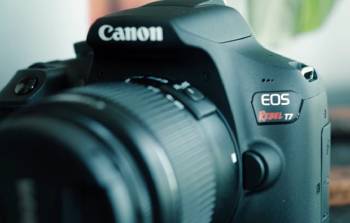 canon r50 vs rebel t7