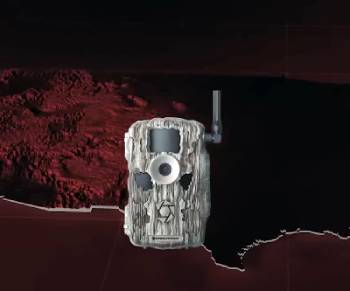 stealth cam sonix pro