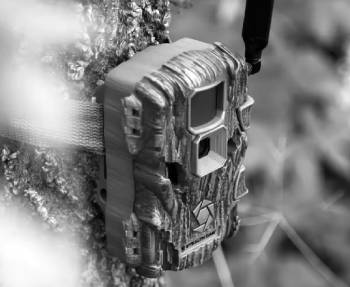 stealth cam sonix pro