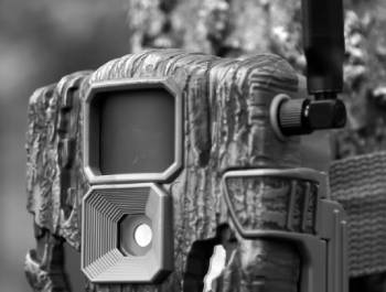 stealth cam sonix pro
